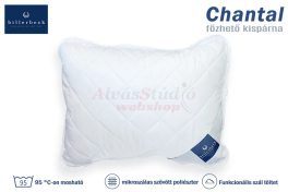 Billerbeck Chantal kispárna